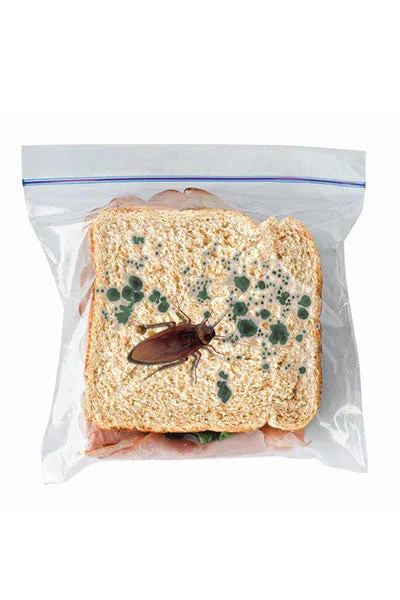 Gross Sandwhich Bags