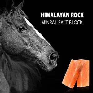 Himalayan Mineral Salt Block