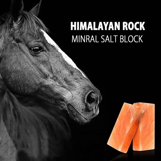 Himalayan Mineral Salt Block