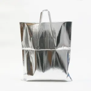 Insulated Hot / Cold Bag