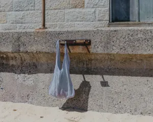 Lace Tote