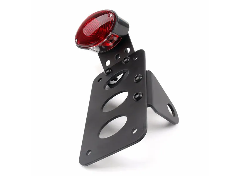 License Plate Bracket & Tail Light Fits Harley Bobber Chopper Sportster