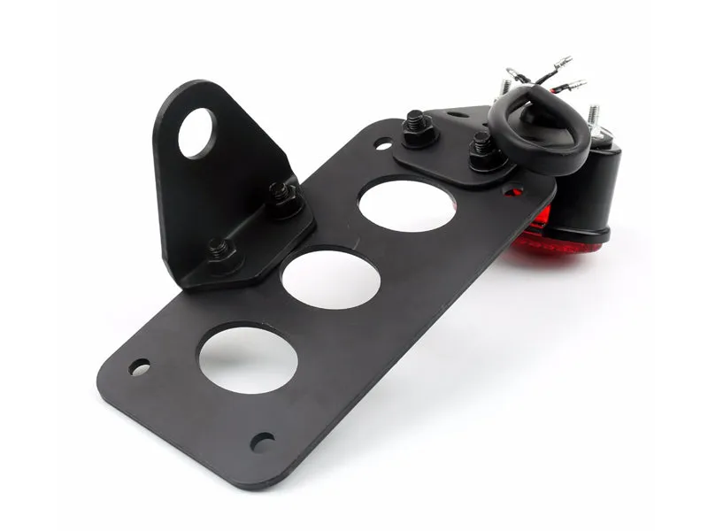 License Plate Bracket & Tail Light Fits Harley Bobber Chopper Sportster
