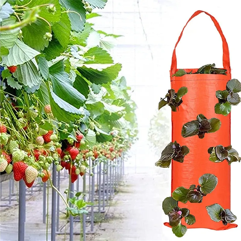 Multi-Port Vertical Garden Wall Mounted Grow Seedling Planting Bags