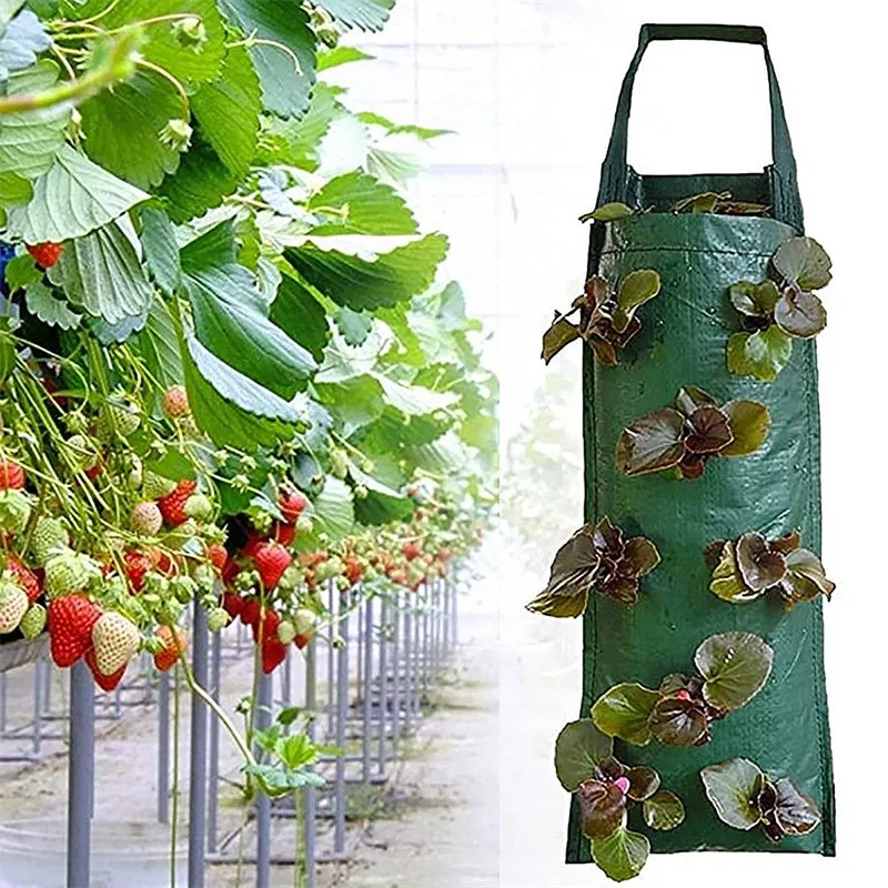 Multi-Port Vertical Garden Wall Mounted Grow Seedling Planting Bags