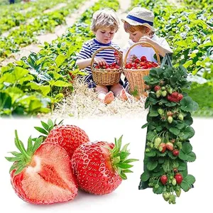 Multi-Port Vertical Garden Wall Mounted Grow Seedling Planting Bags