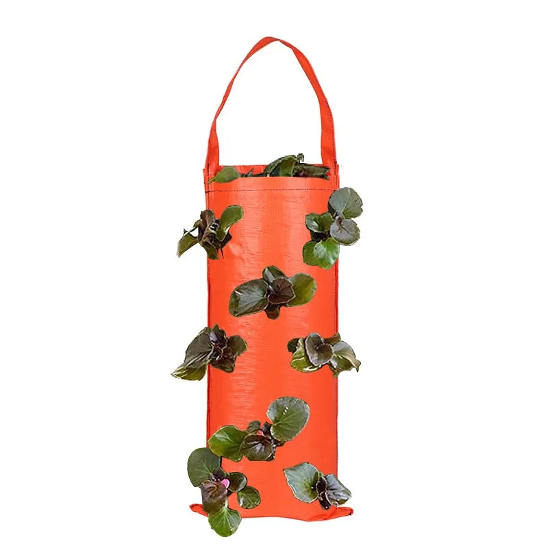 Multi-Port Vertical Garden Wall Mounted Grow Seedling Planting Bags