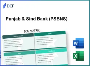 Punjab & Sind Bank (PSB.NS): BCG Matrix