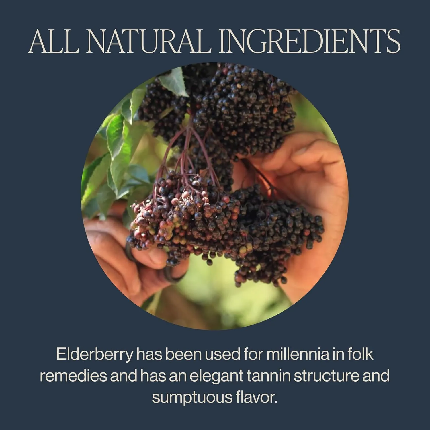Rishi Tea Elderberry Healer Herbal Tea - Organic, Caffeine Free Sachet Tea Bags, Antioxidant Elderberry with Ginger & Hibiscus - 15 Count (Pack of 6)