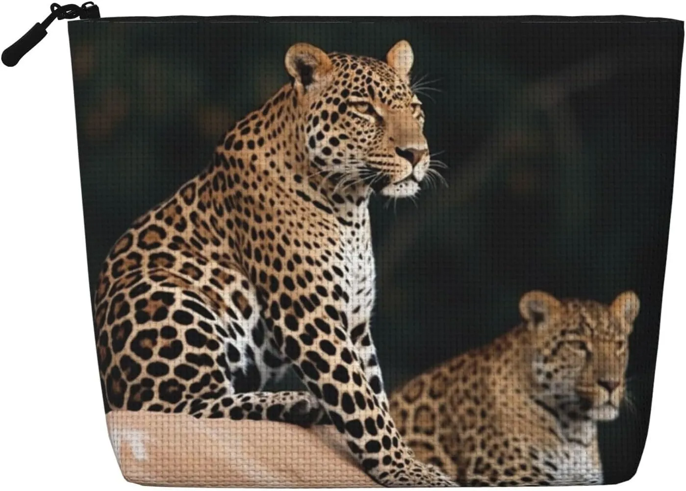 Travel Makeup Bag for Women Large Capacity Cosmetic Bags Waterproof Portable Toiletry Bag African Leopard on Rock Make Up Bags with Zipper Aesthetic Makeup Organizer for Ladies Gift